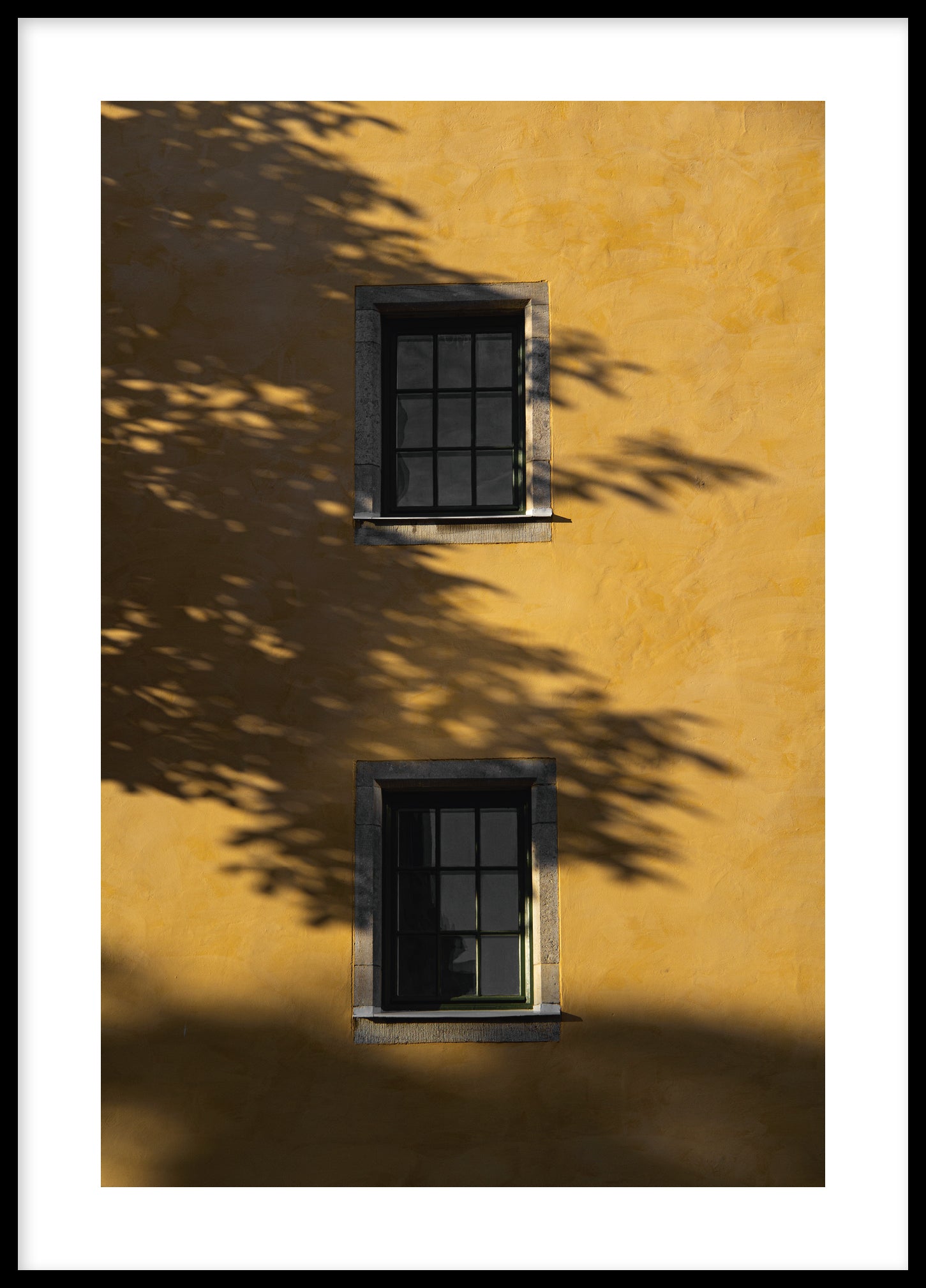 Visby windows