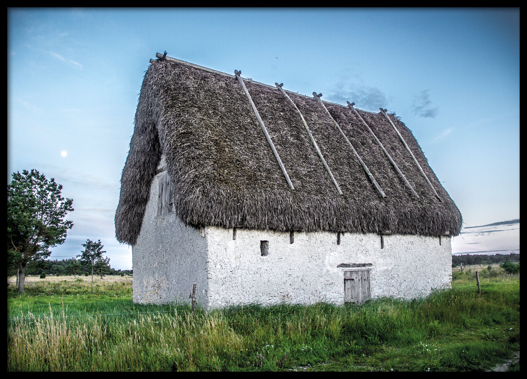 Lambgift Gotland