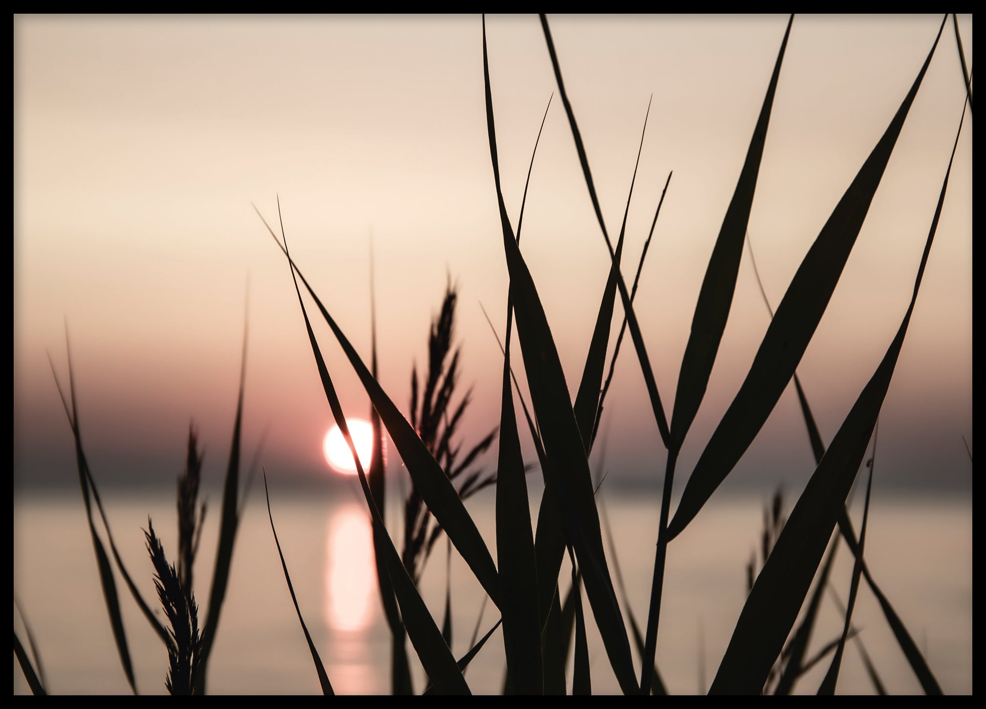 Sunrise silhouette