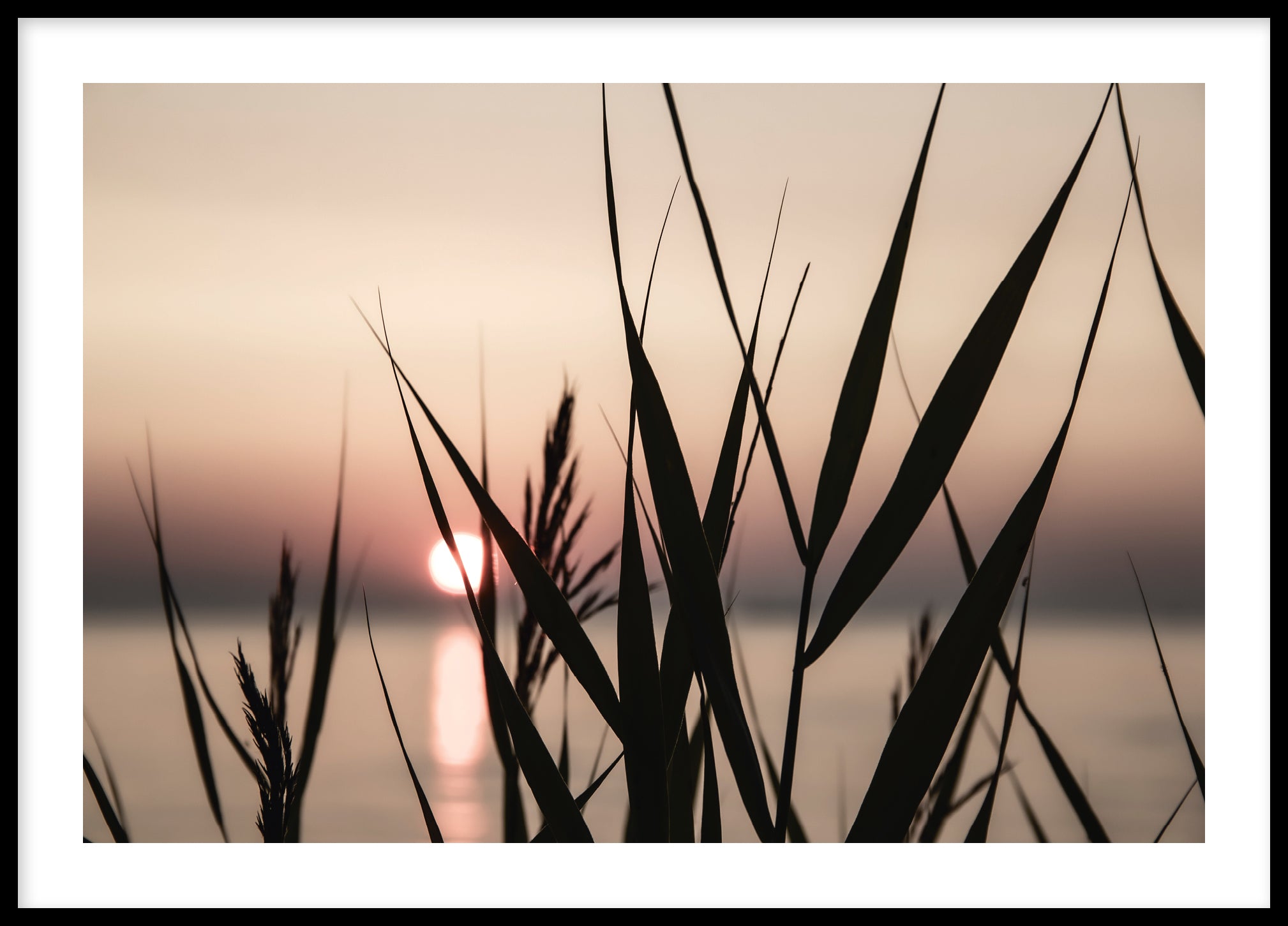 Sunrise silhouette