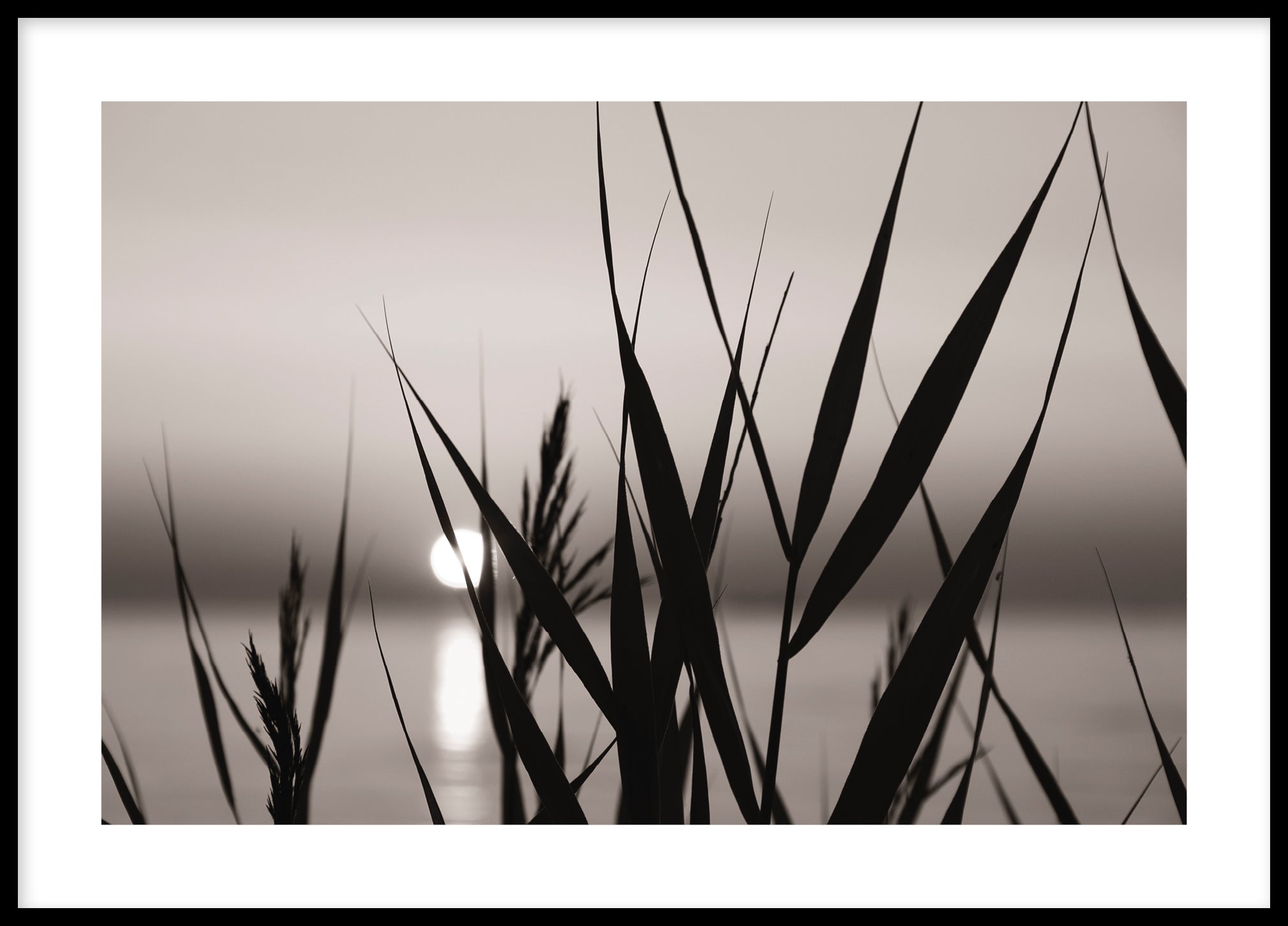 Sunrise silhouette Gotland