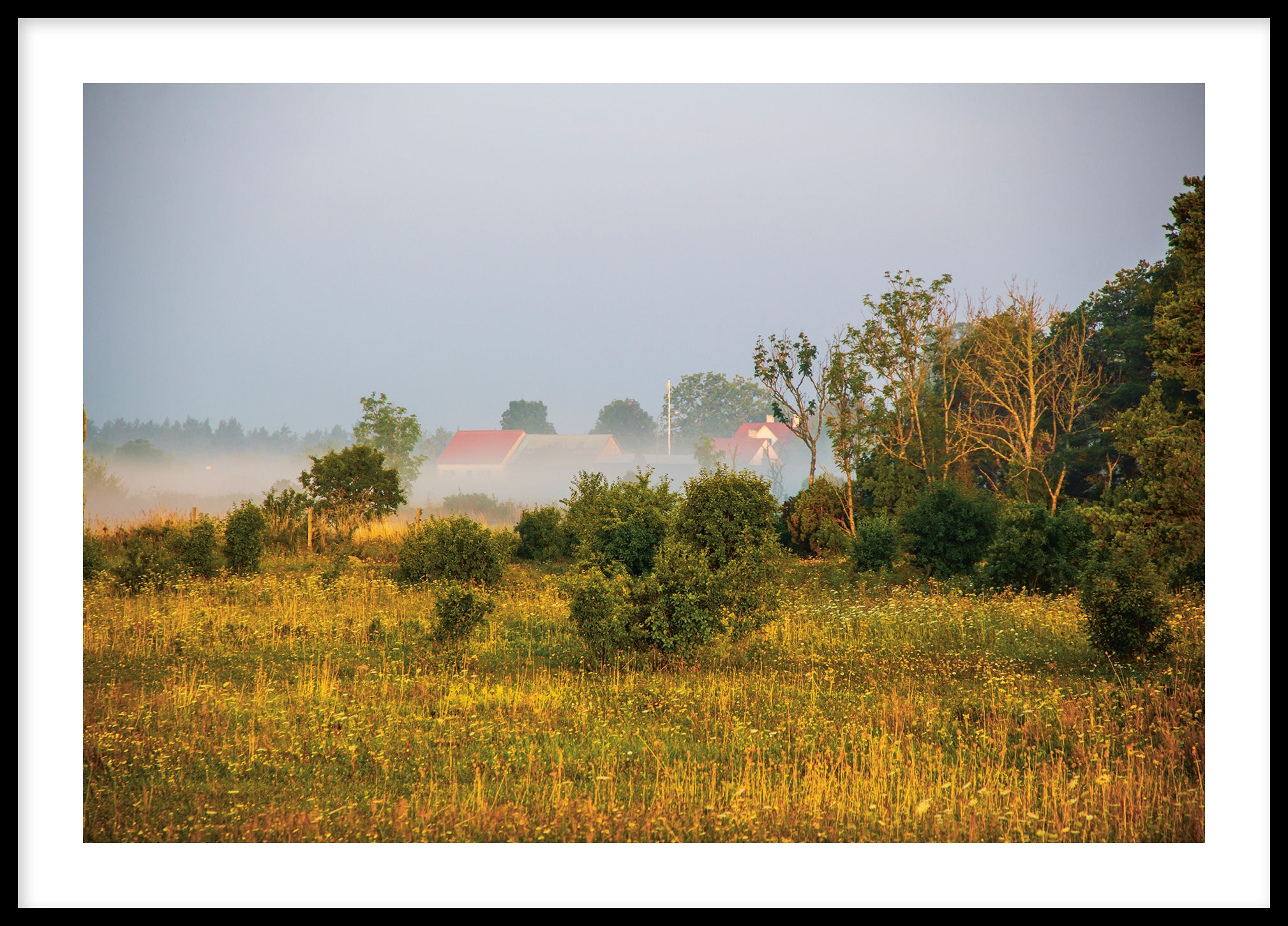 Gotland morning landscape No 4