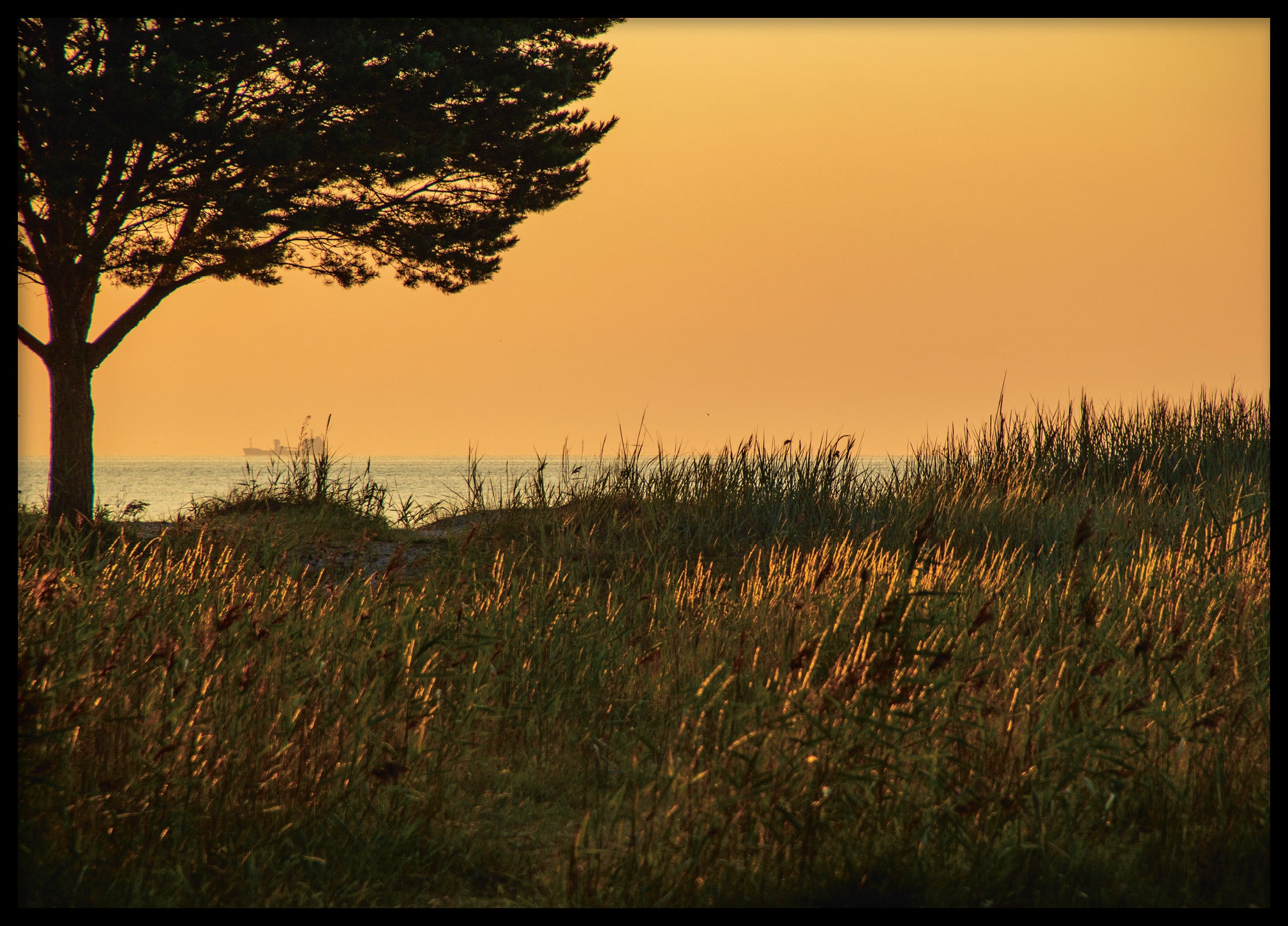 Gotland morning landscape No 5