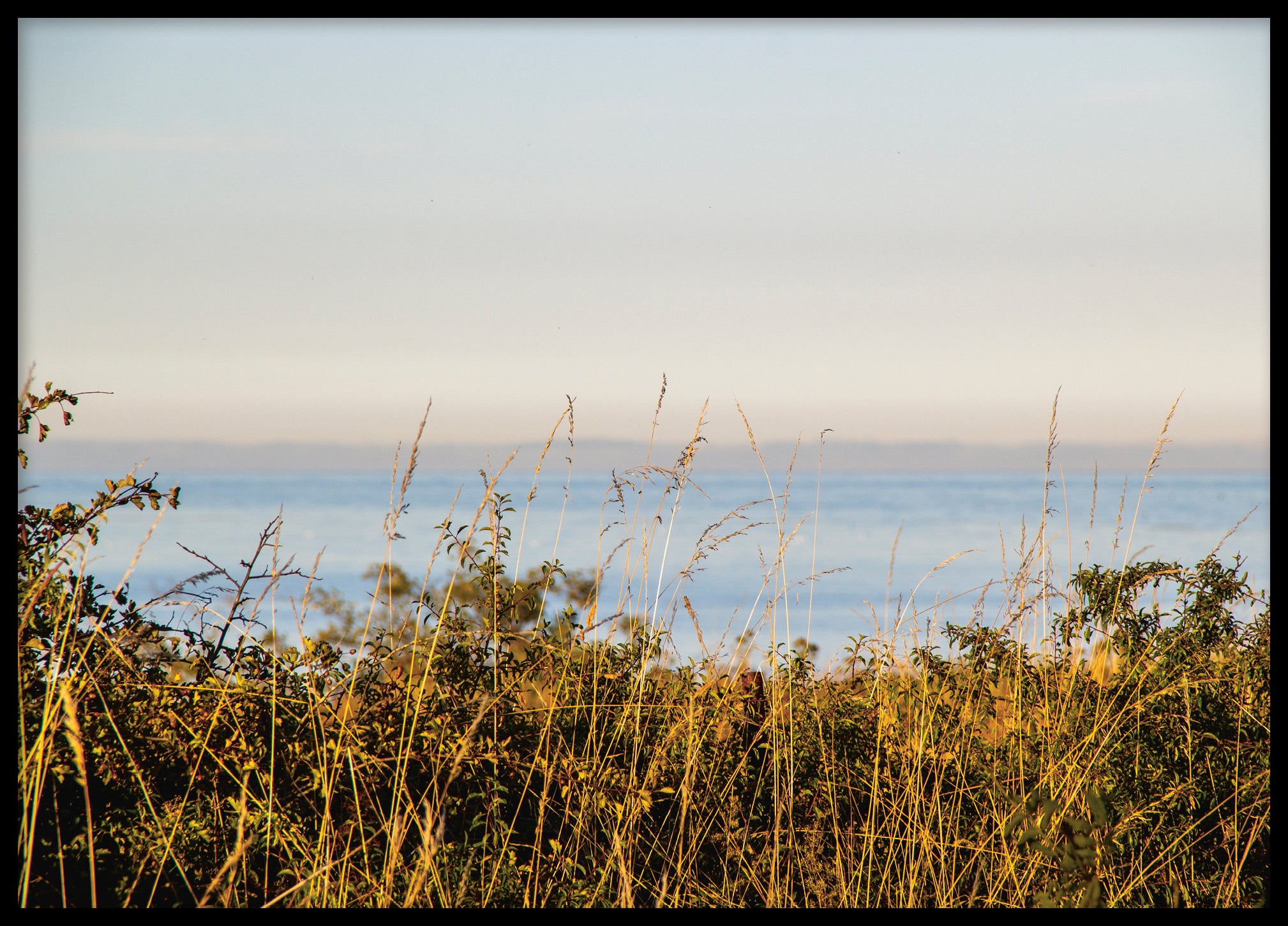 Summer sea Gotland