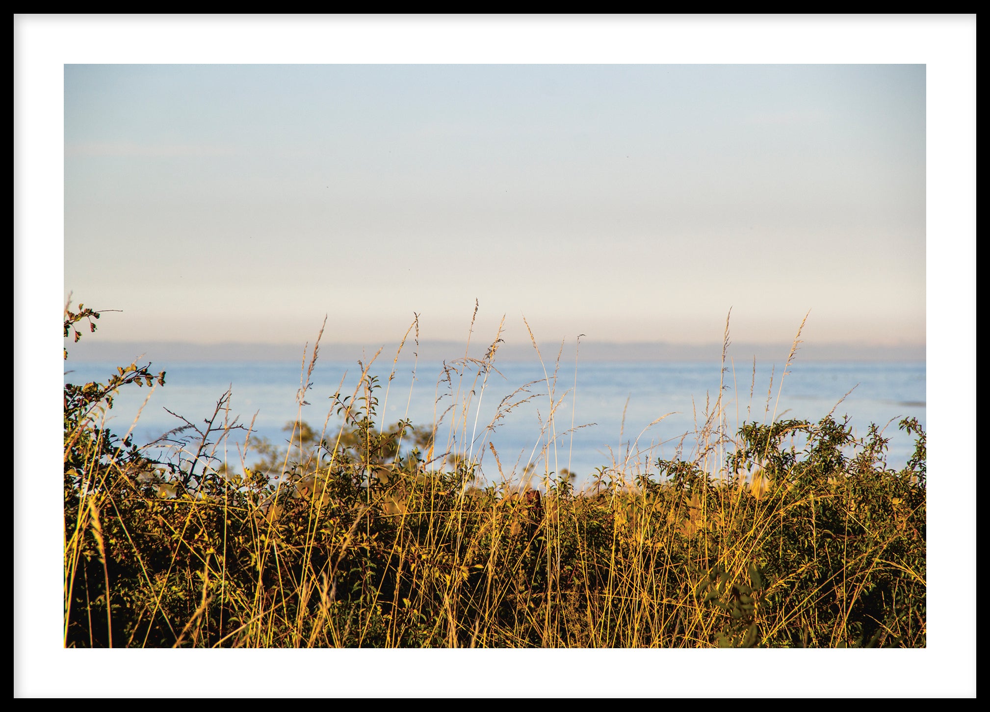 Summer sea Gotland