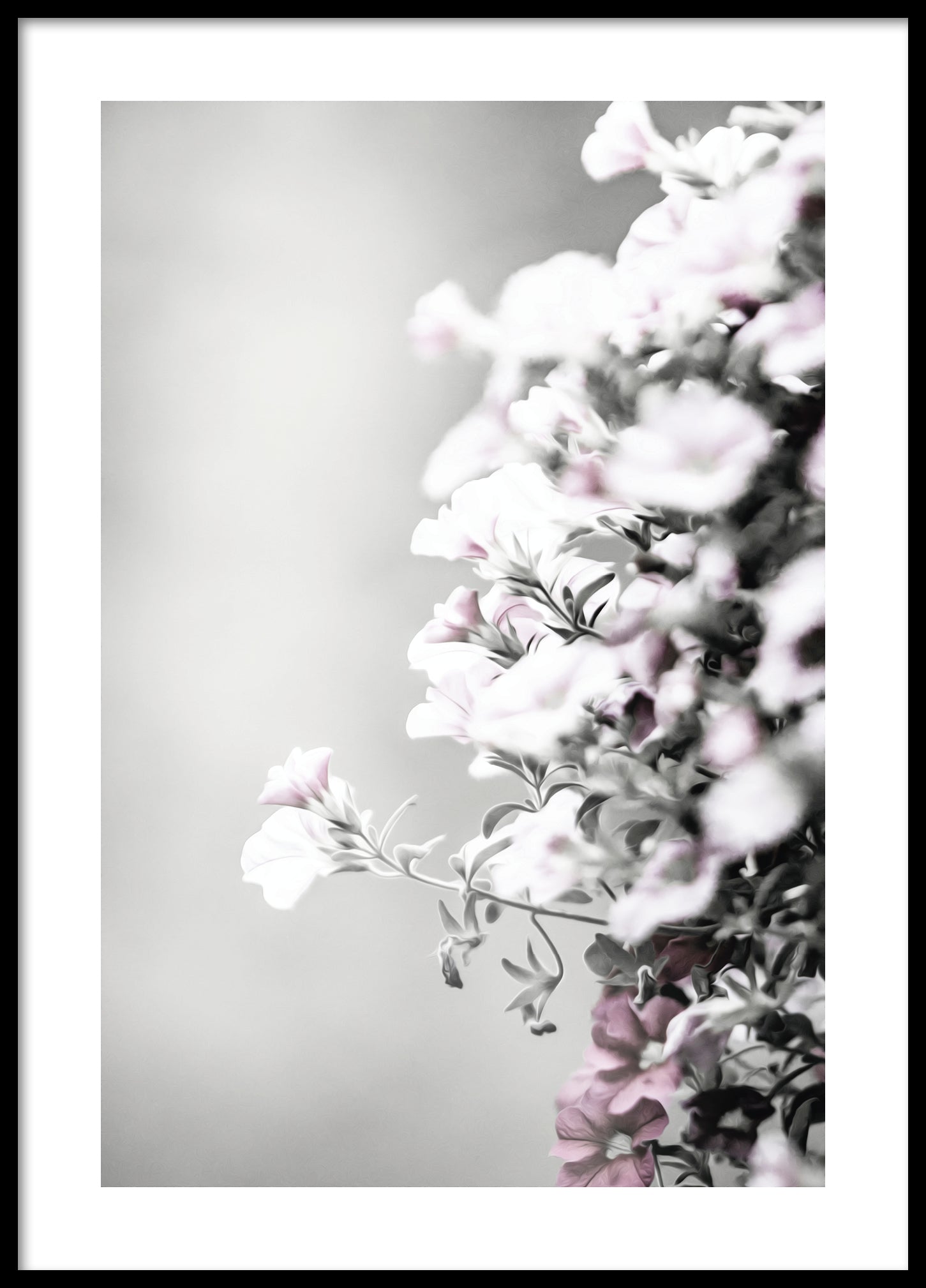 Hanging flowers