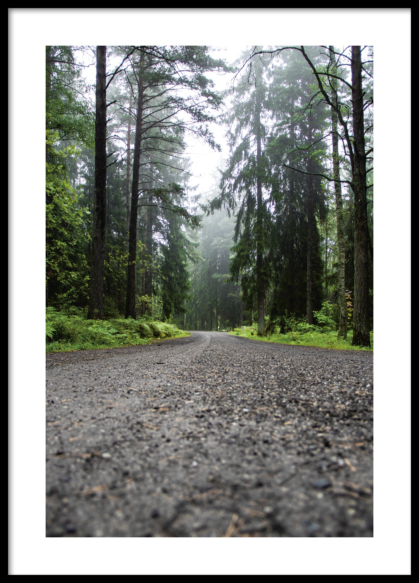 Road in mist