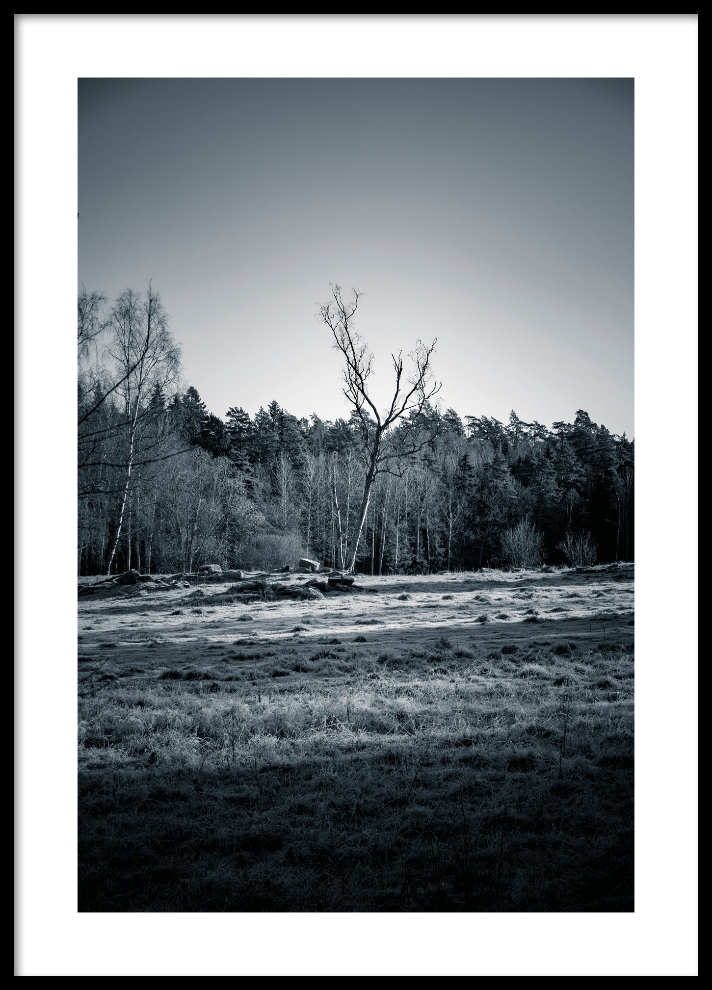 Tree on blue field