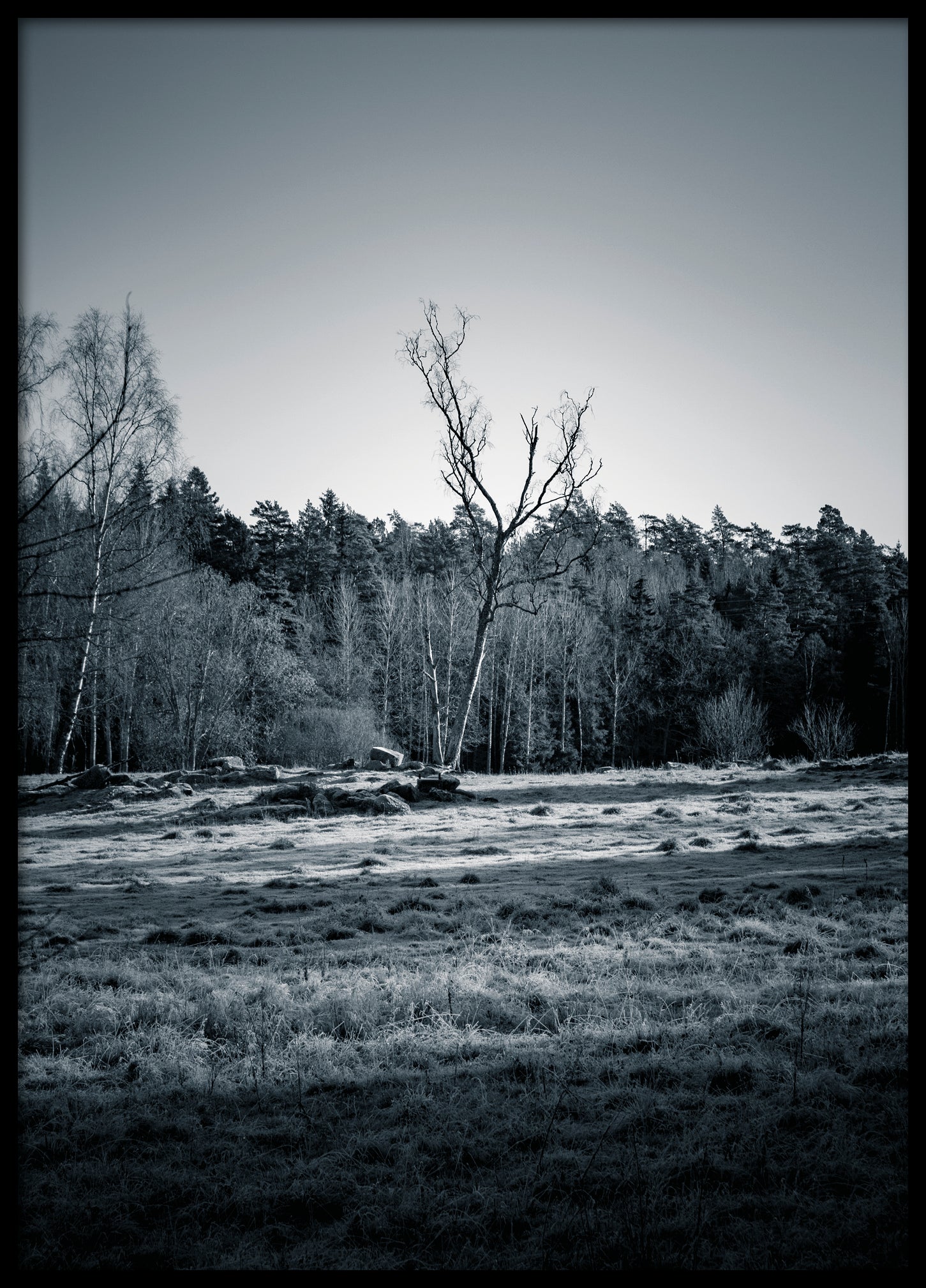 Tree on blue field