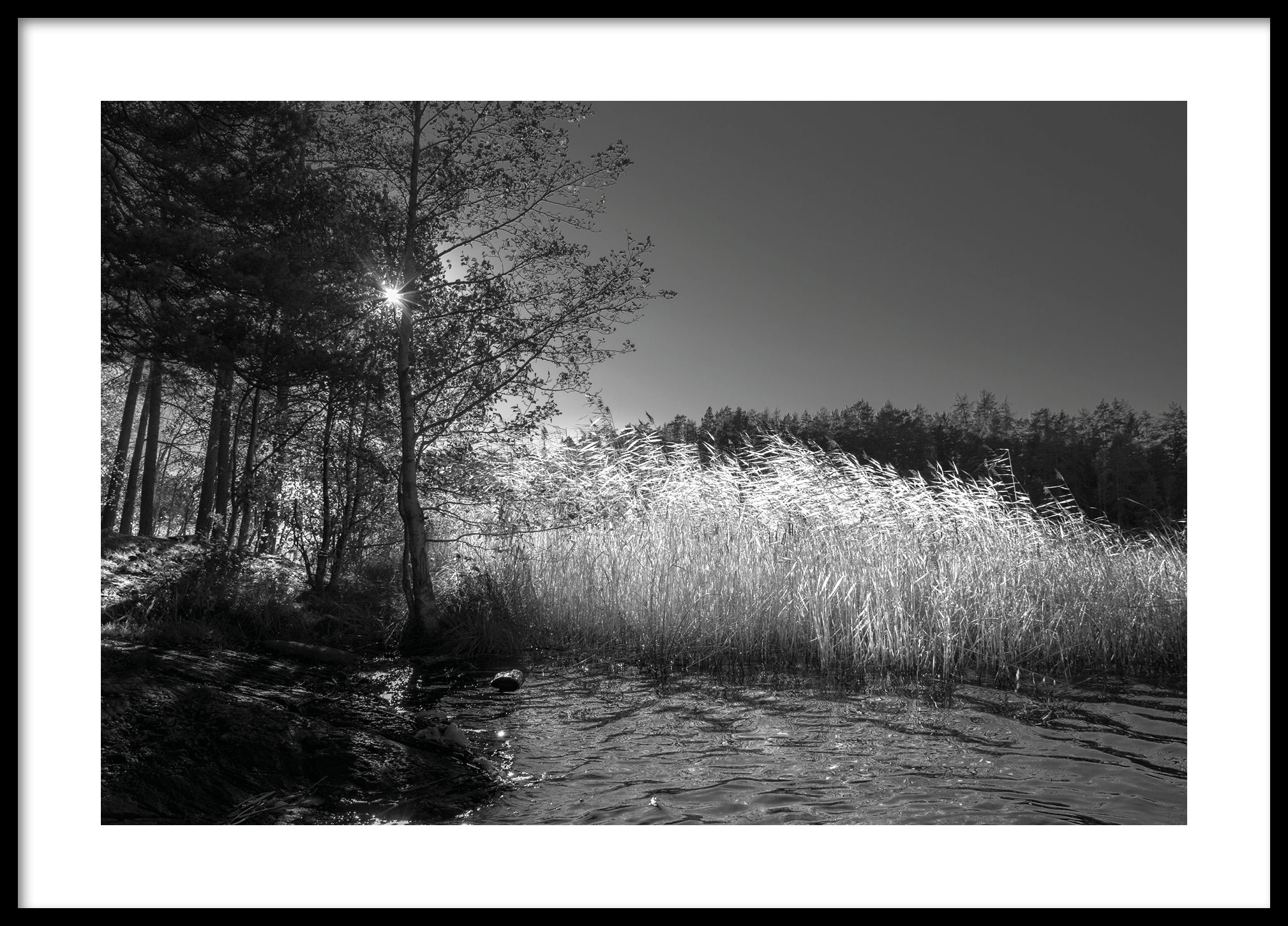 By the lake