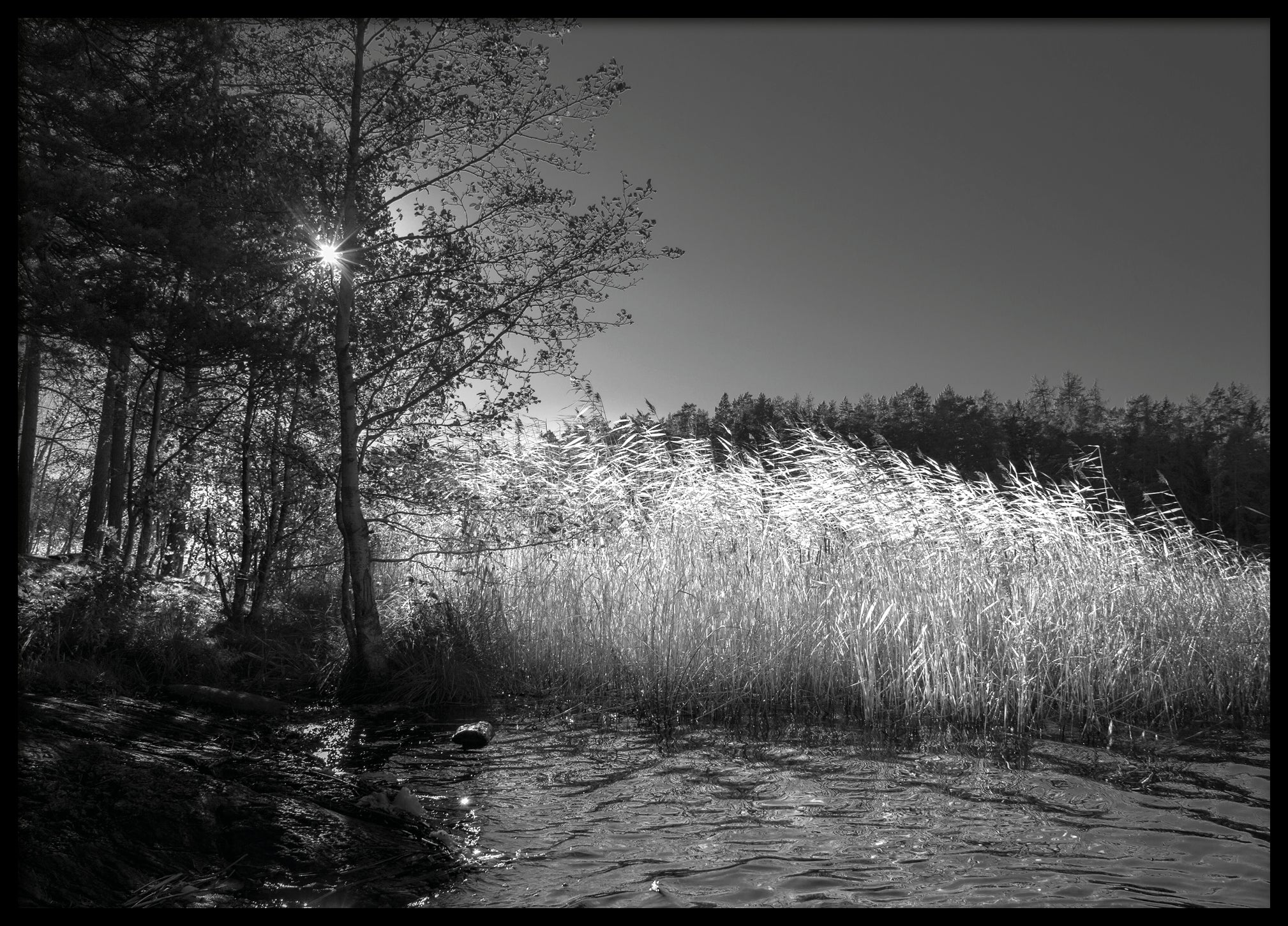 By the lake