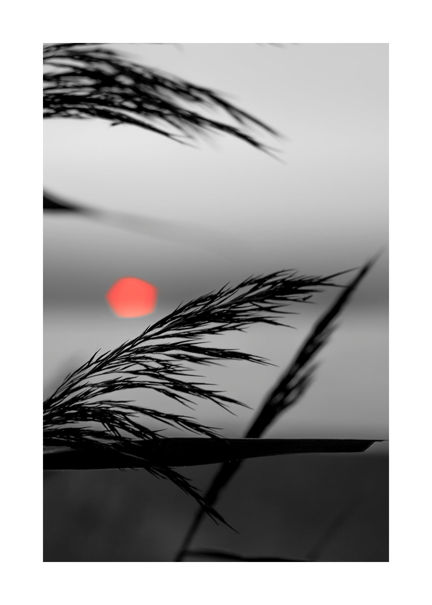 Red sun silhouette Gotland