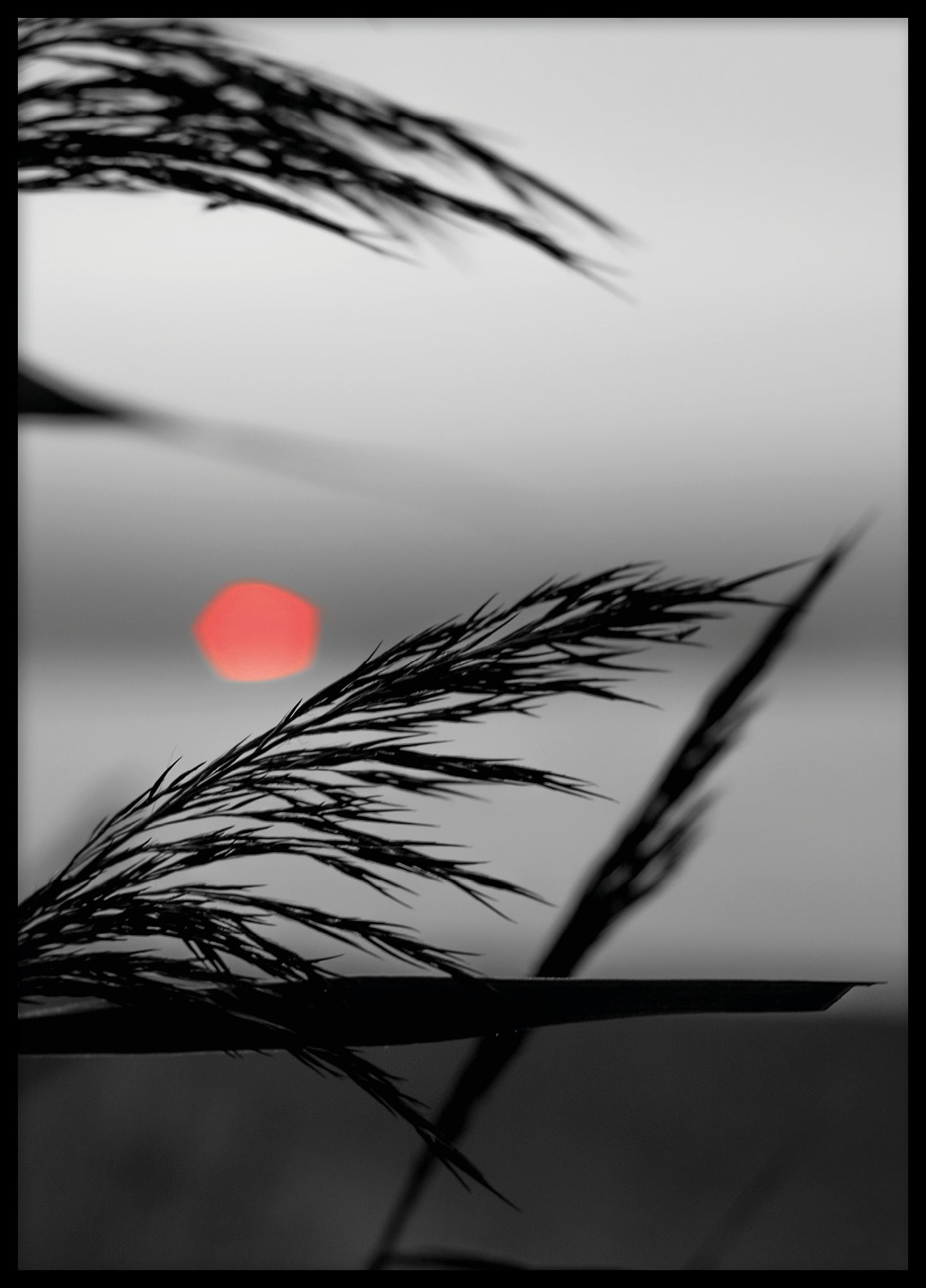 Red sun silhouette Gotland