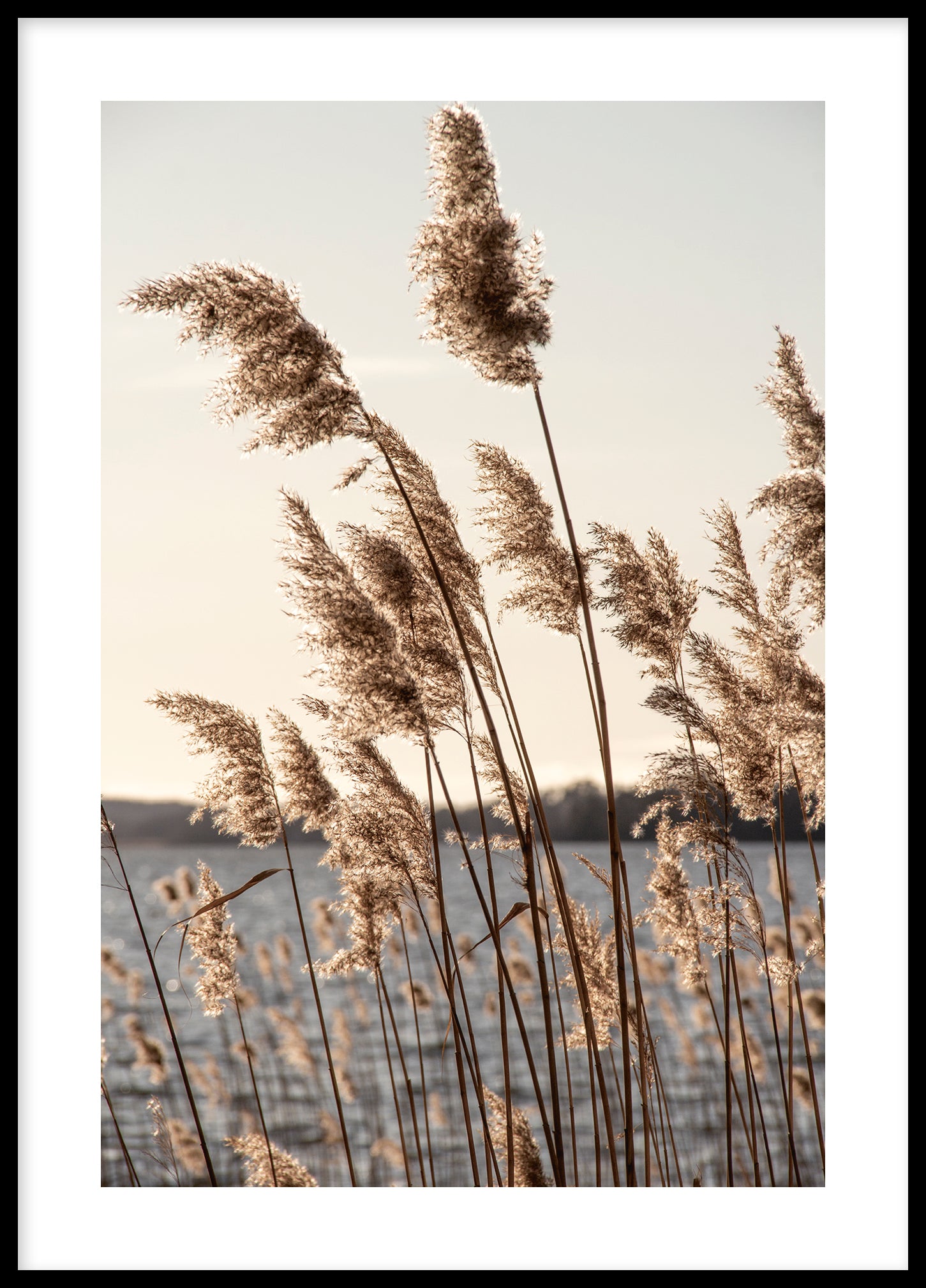 Reed Bolinder strand 4