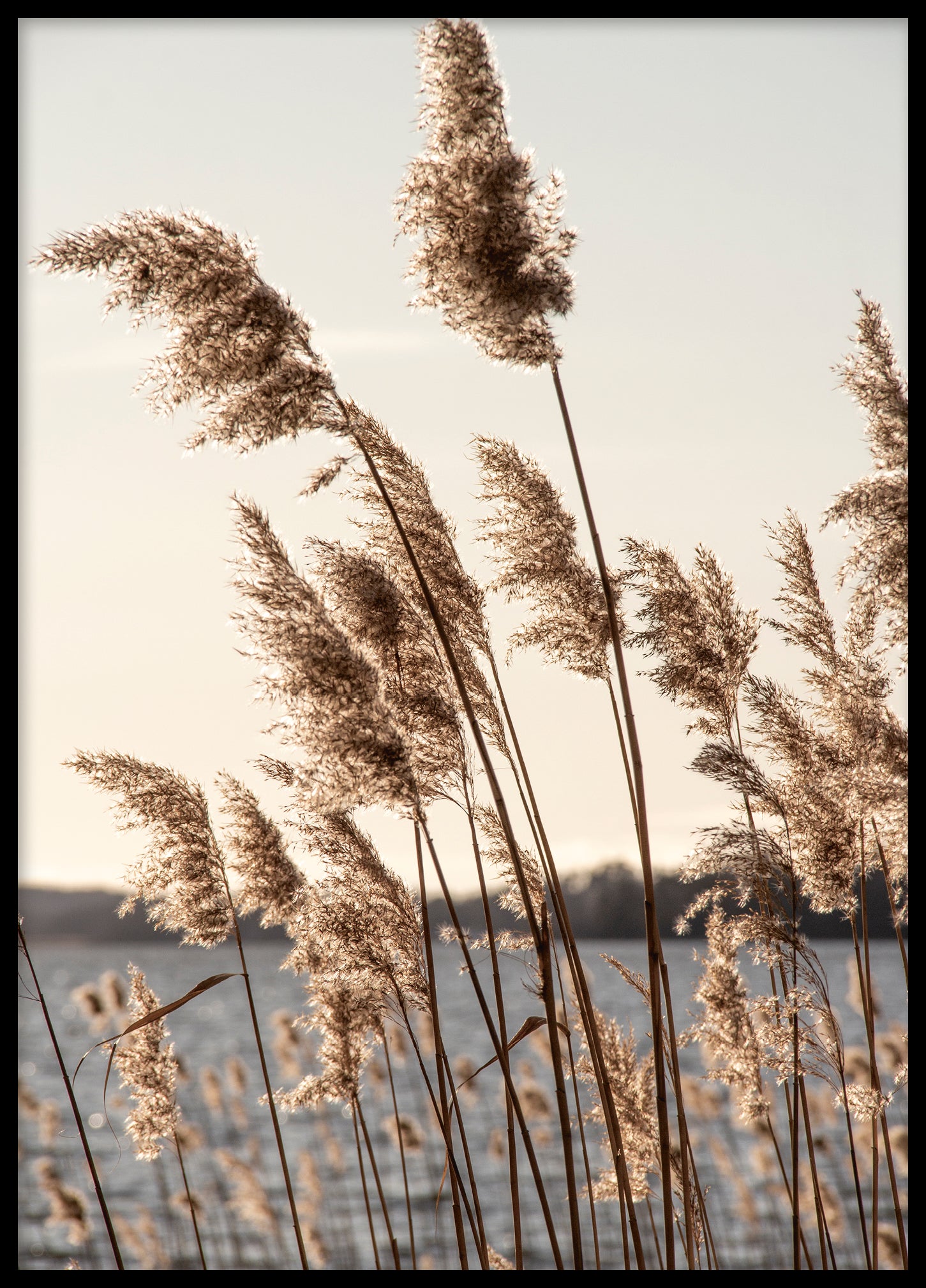 Reed Bolinder strand 4