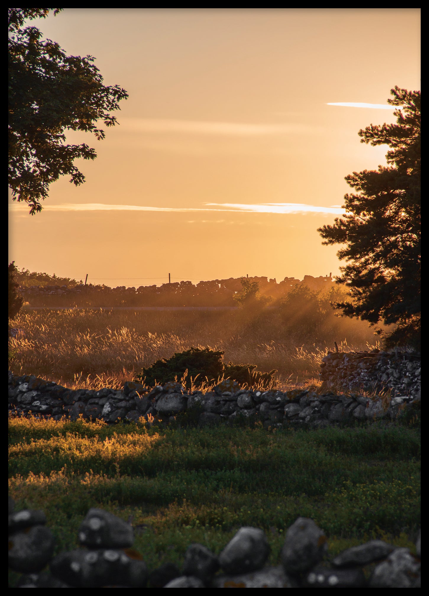 Evening at Vändburg