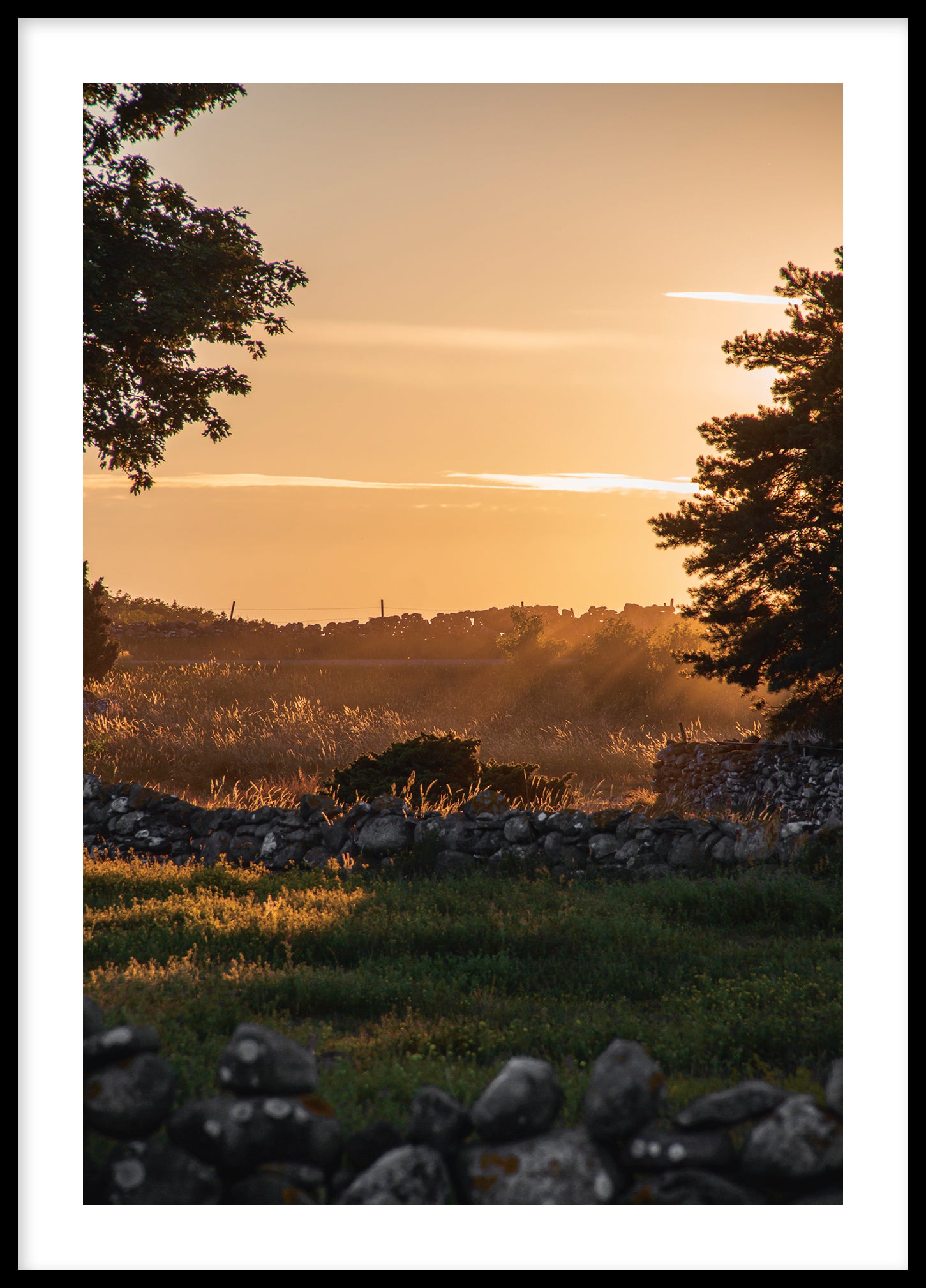 Evening at Vändburg